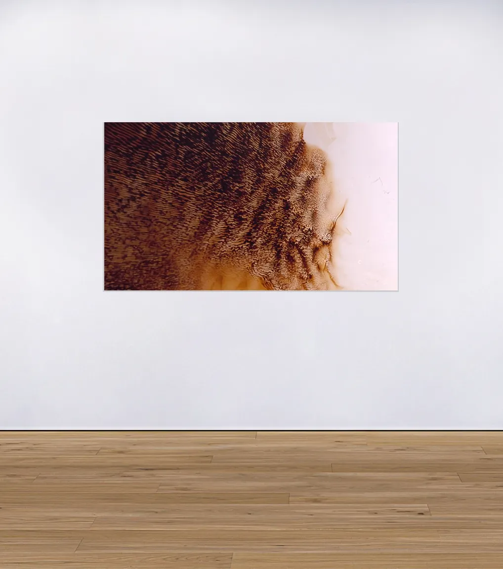 An installation view of Damian Boylan's photographic work 'Lamor Precession' (2020) using multipole magnets, alcohol and ferrofluids.