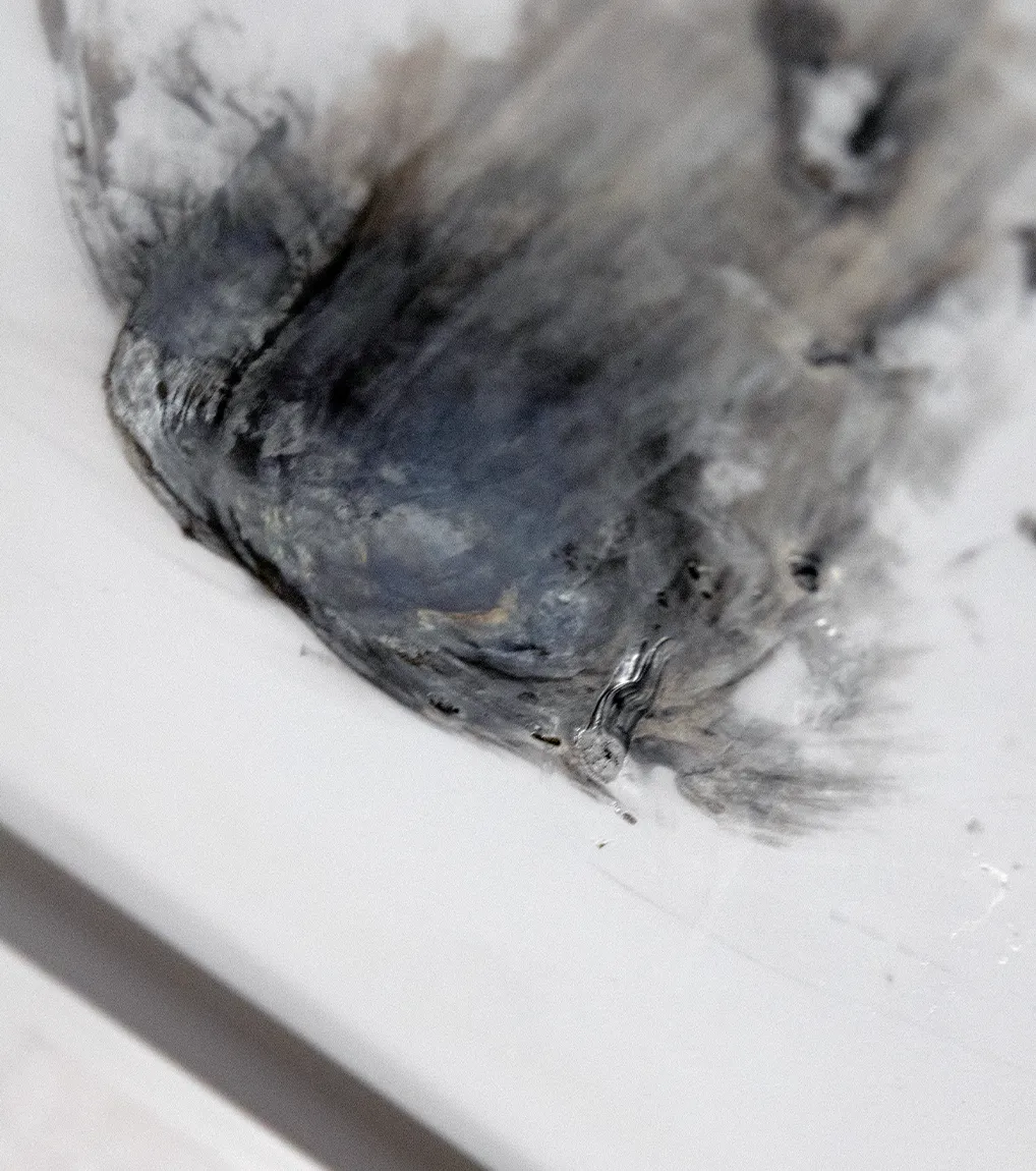 A close up view of Halo, 2020, a painting from artist Damian Boylan's Rarefactions series, showing molten brass leaving an iridescent residual mark on a poly(methyl methacrylate) canvas.