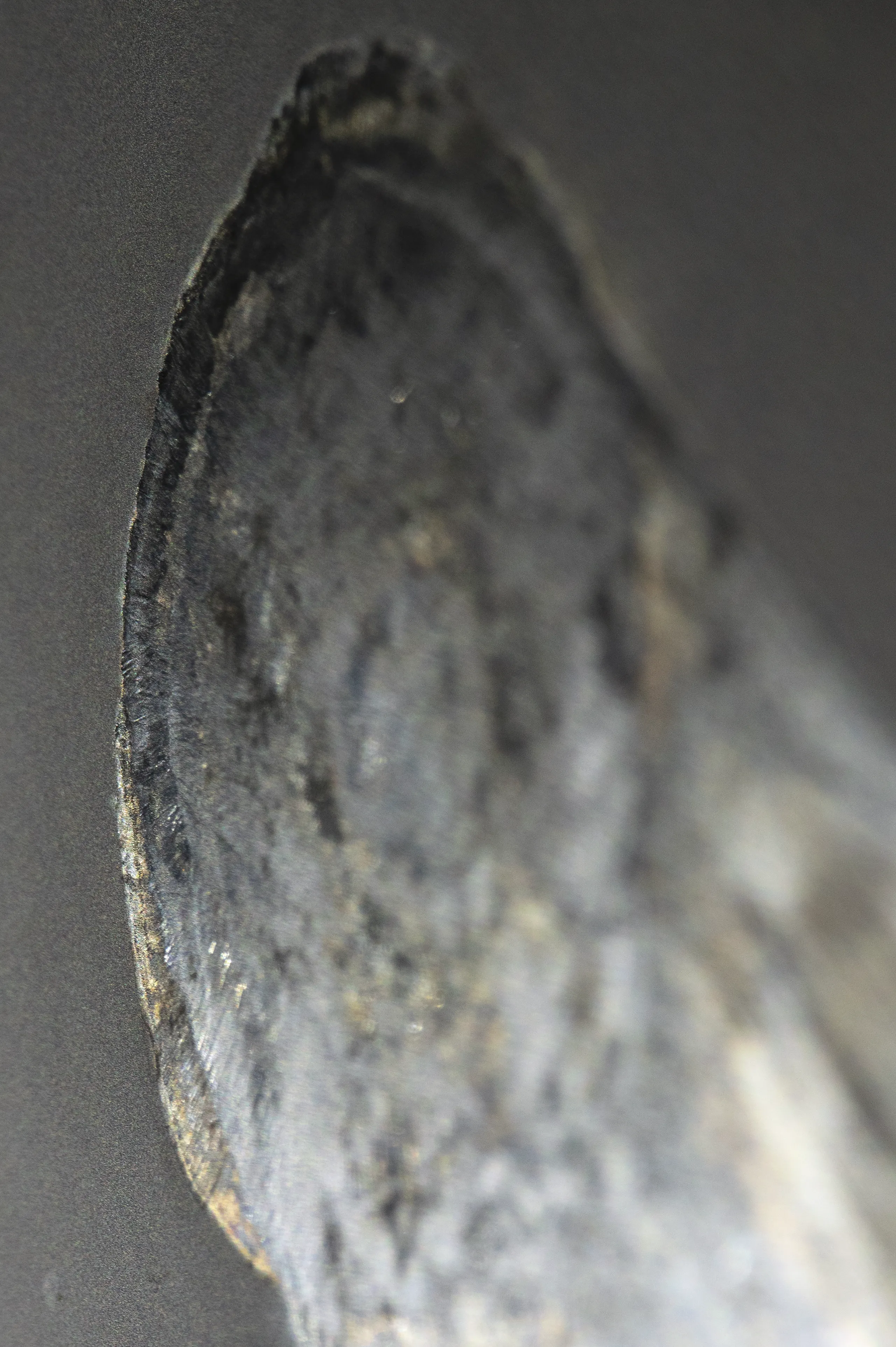A close up view of Gossamer, 2020, a painting from artist Damian Boylan's Rarefactions series, using molten metal to paint on various substrates.
